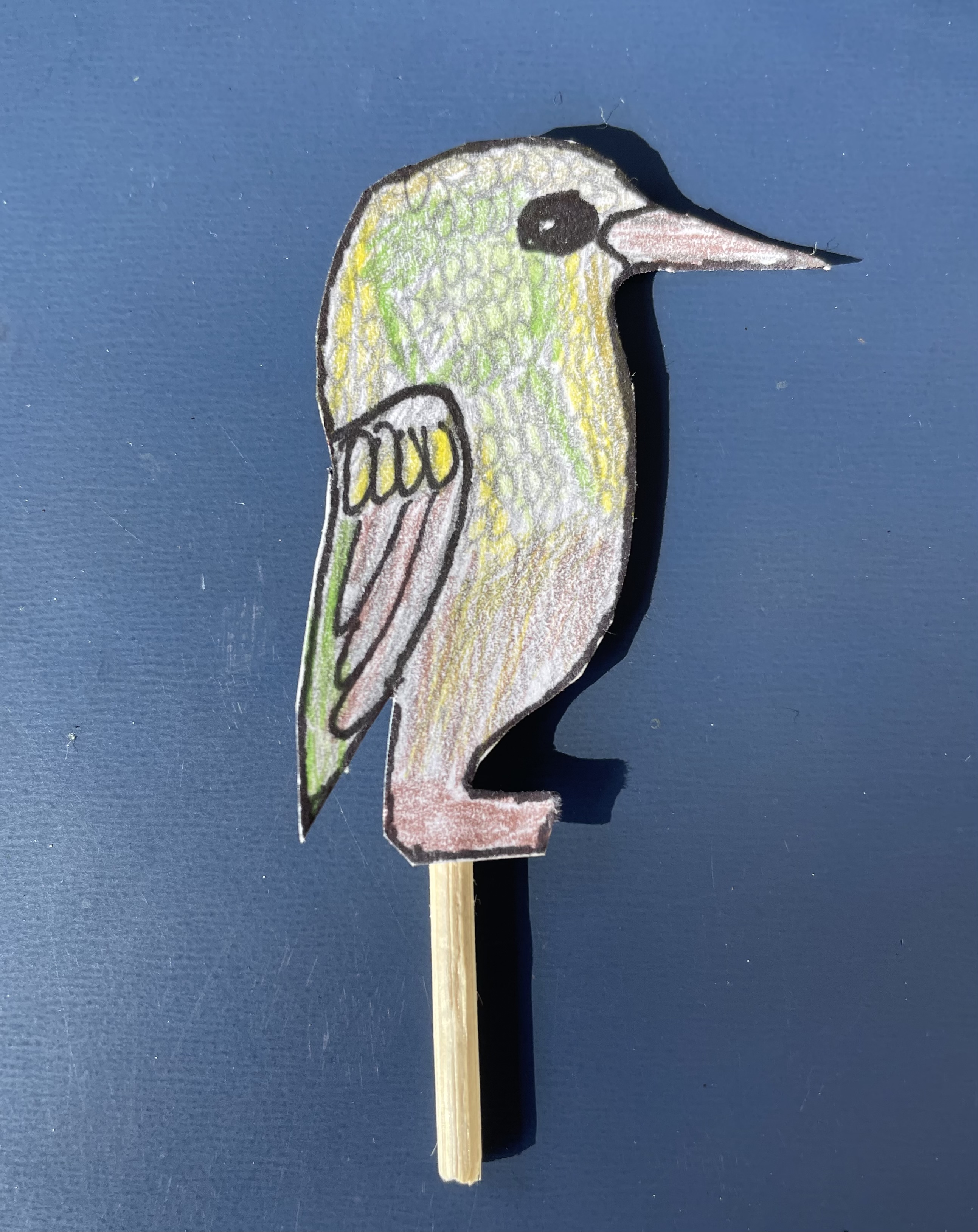 /uploaded_files/media/gallery/1634865623Darcy 5S bird.jpeg